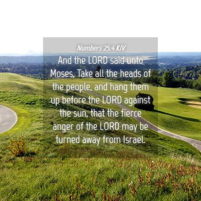 Picture 04 - Numbers 25:4 KJV - And the LORD said unto Moses, Take all the heads - Bible Verse Picture
