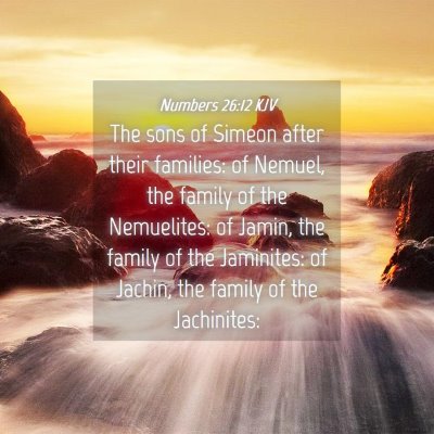 Picture 04 - Numbers 26:12 KJV - The sons of Simeon after their families: of - Bible Verse Picture