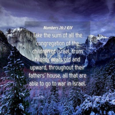 Picture 04 - Numbers 26:2 KJV - Take the sum of all the congregation of the - Bible Verse Picture