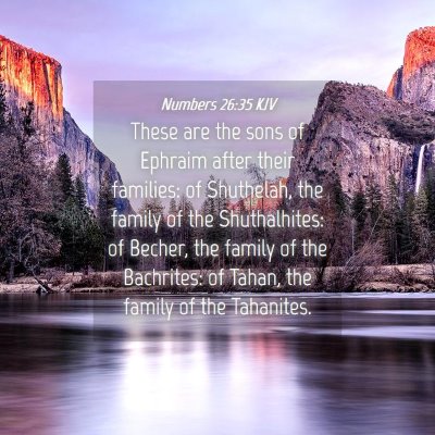 Picture 04 - Numbers 26:35 KJV - These are the sons of Ephraim after their - Bible Verse Picture