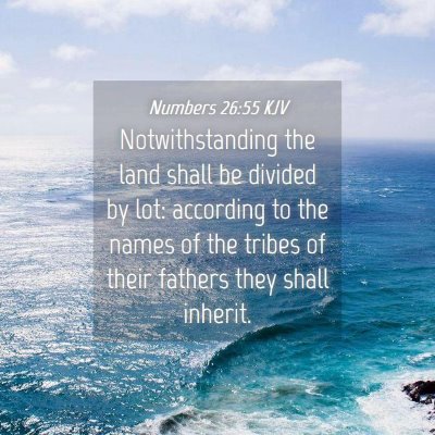 Picture 04 - Numbers 26:55 KJV - Notwithstanding the land shall be divided by lot: - Bible Verse Picture