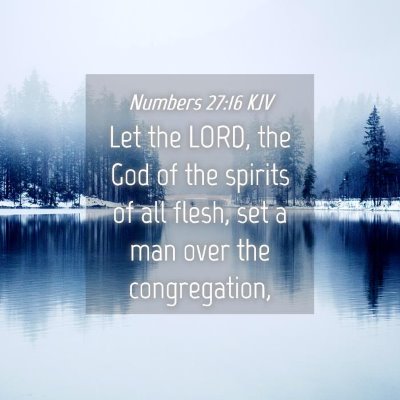 Picture 04 - Numbers 27:16 KJV - Let the LORD, the God of the spirits of all - Bible Verse Picture