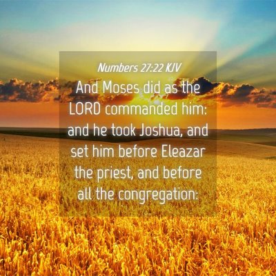 Picture 04 - Numbers 27:22 KJV - And Moses did as the LORD commanded him: and he - Bible Verse Picture
