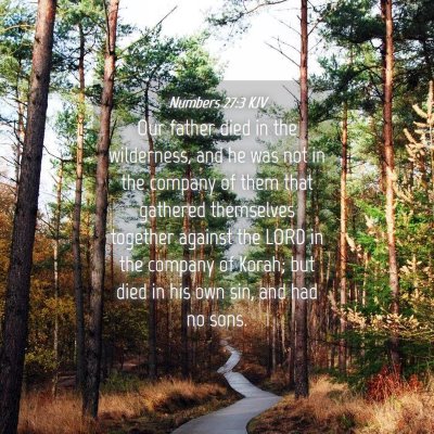 Picture 04 - Numbers 27:3 KJV - Our father died in the wilderness, and he was not - Bible Verse Picture