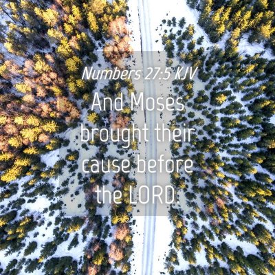 Picture 04 - Numbers 27:5 KJV - And Moses brought their cause before the - Bible Verse Picture