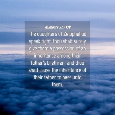 Picture 04 - Numbers 27:7 KJV - The daughters of Zelophehad speak right: thou - Bible Verse Picture