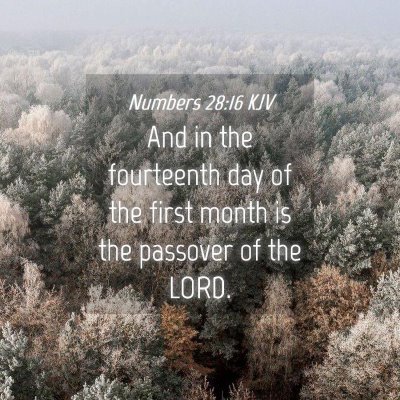 Picture 04 - Numbers 28:16 KJV - And in the fourteenth day of the first month is - Bible Verse Picture