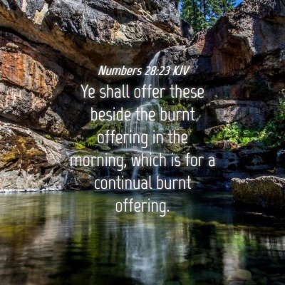 Picture 04 - Numbers 28:23 KJV - Ye shall offer these beside the burnt offering in - Bible Verse Picture