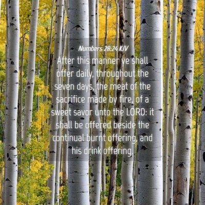 Picture 04 - Numbers 28:24 KJV - After this manner ye shall offer daily, - Bible Verse Picture