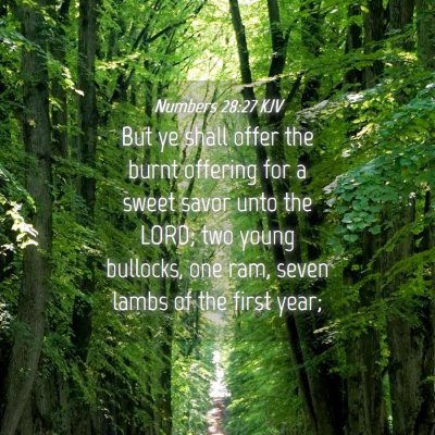 Picture 04 - Numbers 28:27 KJV - But ye shall offer the burnt offering for a sweet - Bible Verse Picture