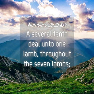 Picture 04 - Numbers 28:29 KJV - A several tenth deal unto one lamb, throughout - Bible Verse Picture