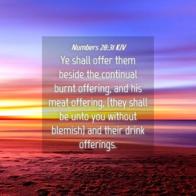 Picture 04 - Numbers 28:31 KJV - Ye shall offer them beside the continual burnt - Bible Verse Picture