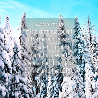 Picture 04 - Numbers 28:6 KJV - It is a continual burnt offering, which was - Bible Verse Picture