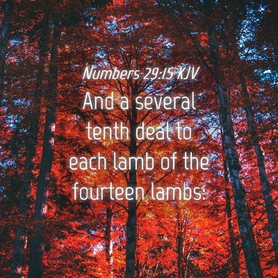 Picture 04 - Numbers 29:15 KJV - And a several tenth deal to each lamb of the - Bible Verse Picture