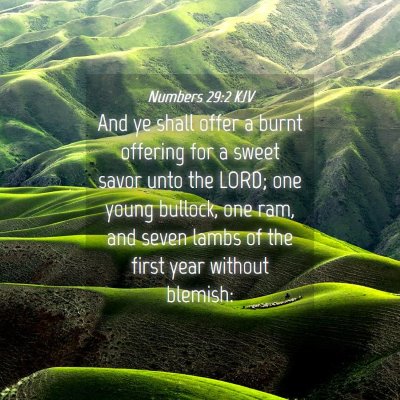 Picture 04 - Numbers 29:2 KJV - And ye shall offer a burnt offering for a sweet - Bible Verse Picture