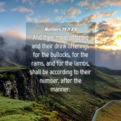 Picture 04 - Numbers 29:21 KJV - And their meat offering and their drink offerings - Bible Verse Picture