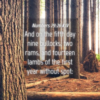 Picture 04 - Numbers 29:26 KJV - And on the fifth day nine bullocks, two rams, and - Bible Verse Picture