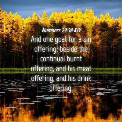 Picture 04 - Numbers 29:38 KJV - And one goat for a sin offering; beside the - Bible Verse Picture