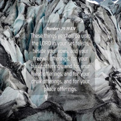 Picture 04 - Numbers 29:39 KJV - These things ye shall do unto the LORD in your - Bible Verse Picture