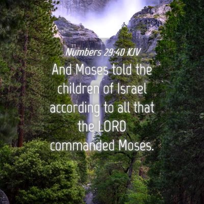 Picture 04 - Numbers 29:40 KJV - And Moses told the children of Israel according - Bible Verse Picture