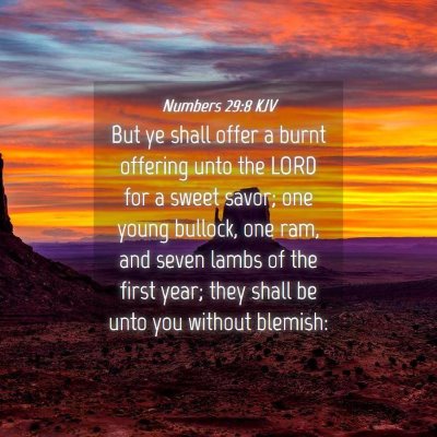 Picture 04 - Numbers 29:8 KJV - But ye shall offer a burnt offering unto the LORD - Bible Verse Picture