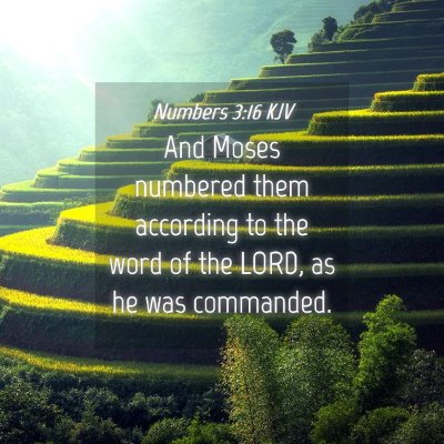 Picture 04 - Numbers 3:16 KJV - And Moses numbered them according to the word of - Bible Verse Picture