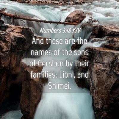Picture 04 - Numbers 3:18 KJV - And these are the names of the sons of Gershon by - Bible Verse Picture