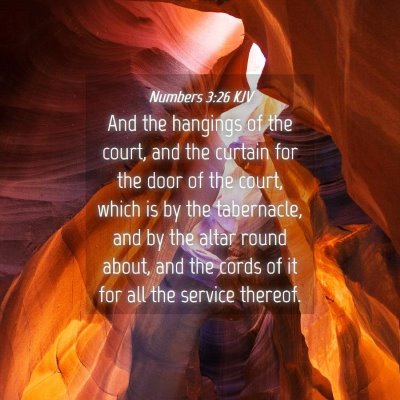 Picture 04 - Numbers 3:26 KJV - And the hangings of the court, and the curtain - Bible Verse Picture
