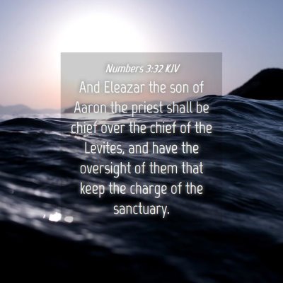 Picture 04 - Numbers 3:32 KJV - And Eleazar the son of Aaron the priest shall be - Bible Verse Picture