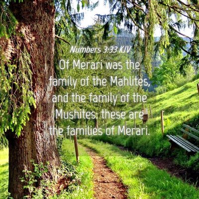 Picture 04 - Numbers 3:33 KJV - Of Merari was the family of the Mahlites, and the - Bible Verse Picture