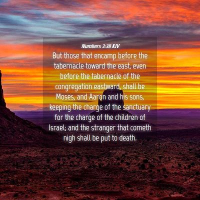 Picture 04 - Numbers 3:38 KJV - But those that encamp before the tabernacle - Bible Verse Picture