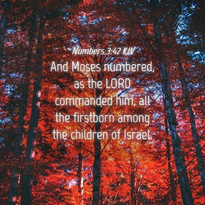 Picture 04 - Numbers 3:42 KJV - And Moses numbered, as the LORD commanded him, - Bible Verse Picture
