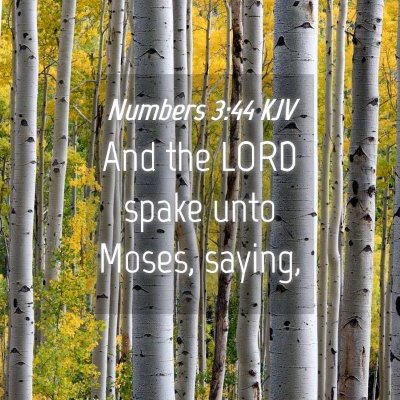 Picture 04 - Numbers 3:44 KJV - And the LORD spake unto Moses, - Bible Verse Picture