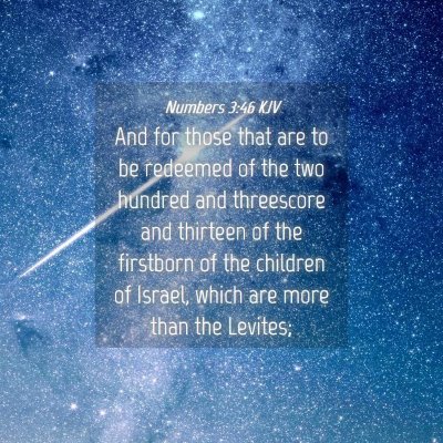 Picture 04 - Numbers 3:46 KJV - And for those that are to be redeemed of the two - Bible Verse Picture