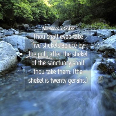 Picture 04 - Numbers 3:47 KJV - Thou shalt even take five shekels apiece by the - Bible Verse Picture