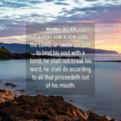 Picture 04 - Numbers 30:2 KJV - If a man vow a vow unto the LORD, or swear an - Bible Verse Picture