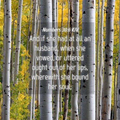 Picture 04 - Numbers 30:6 KJV - And if she had at all an husband, when she vowed, - Bible Verse Picture