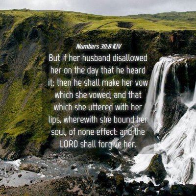 Picture 04 - Numbers 30:8 KJV - But if her husband disallowed her on the day that - Bible Verse Picture
