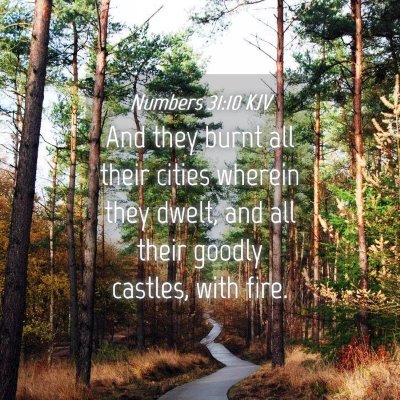 Picture 04 - Numbers 31:10 KJV - And they burnt all their cities wherein they - Bible Verse Picture