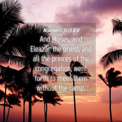 Picture 04 - Numbers 31:13 KJV - And Moses, and Eleazar the priest, and all the - Bible Verse Picture
