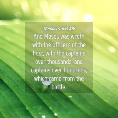 Picture 04 - Numbers 31:14 KJV - And Moses was wroth with the officers of the - Bible Verse Picture
