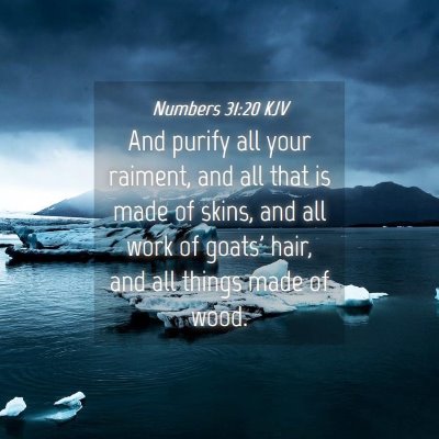 Picture 04 - Numbers 31:20 KJV - And purify all your raiment, and all that is made - Bible Verse Picture