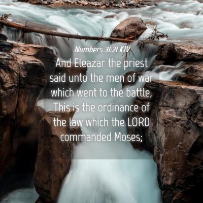 Picture 04 - Numbers 31:21 KJV - And Eleazar the priest said unto the men of war - Bible Verse Picture