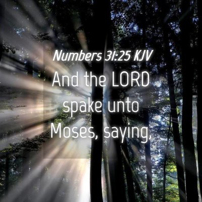 Picture 04 - Numbers 31:25 KJV - And the LORD spake unto Moses, - Bible Verse Picture