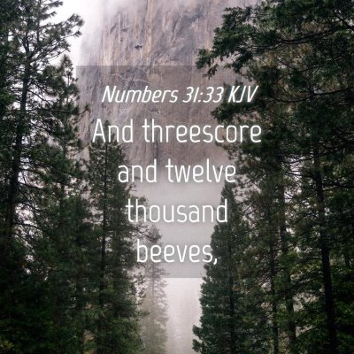 Picture 04 - Numbers 31:33 KJV - And threescore and twelve thousand - Bible Verse Picture