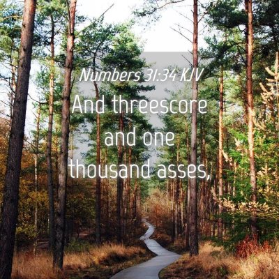 Picture 04 - Numbers 31:34 KJV - And threescore and one thousand - Bible Verse Picture