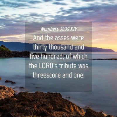 Picture 04 - Numbers 31:39 KJV - And the asses were thirty thousand and five - Bible Verse Picture
