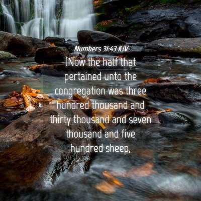 Picture 04 - Numbers 31:43 KJV - (Now the half that pertained unto the - Bible Verse Picture
