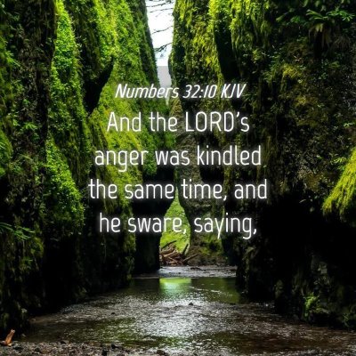 Picture 04 - Numbers 32:10 KJV - And the LORD's anger was kindled the same time, - Bible Verse Picture