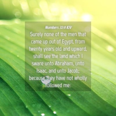 Picture 04 - Numbers 32:11 KJV - Surely none of the men that came up out of Egypt, - Bible Verse Picture